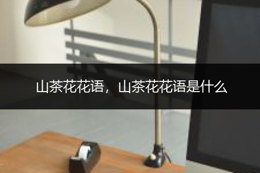 山茶花花语，山茶花花语是什么